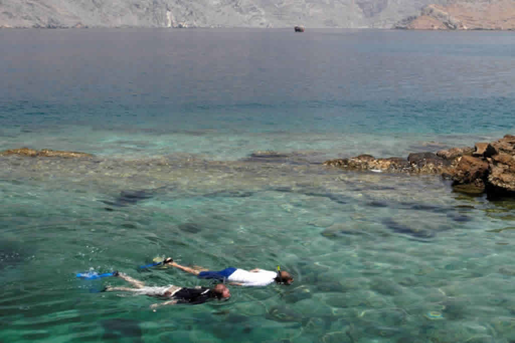 Snorkeling Trip In Musandam