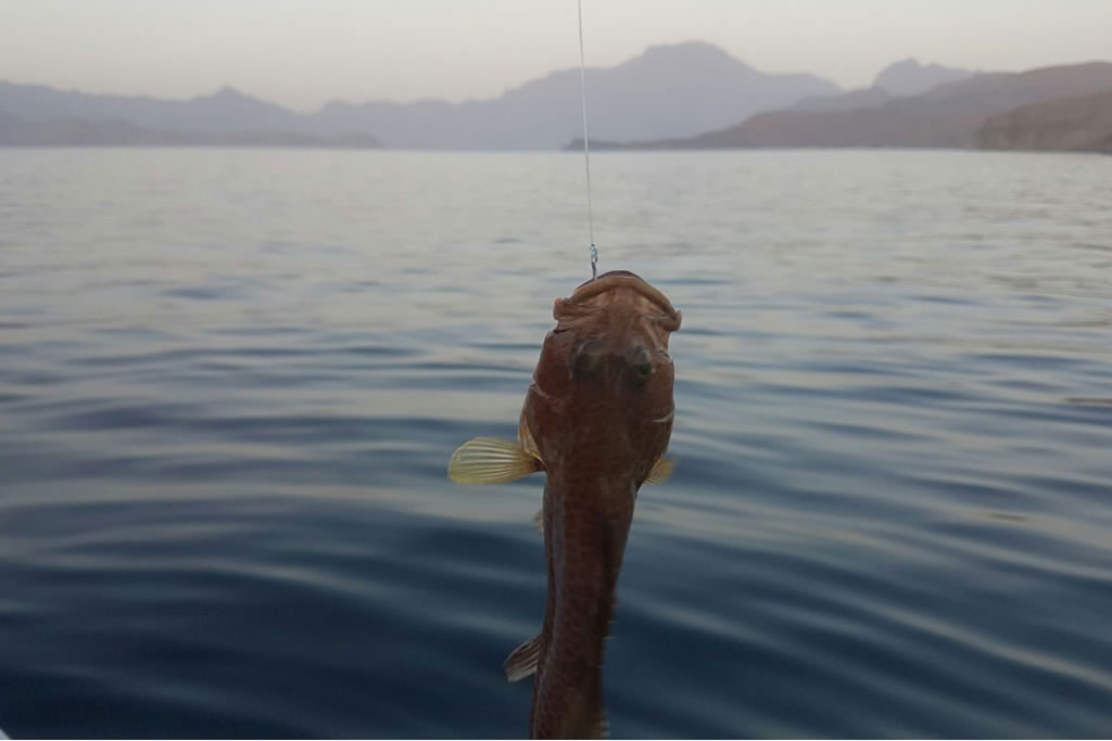 Fishing Trips In Khasab