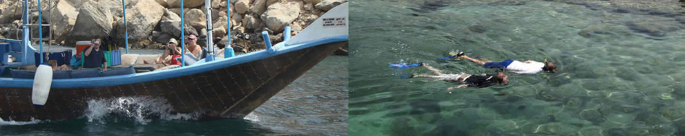 Musandam Khow Sham Dolphin Watching