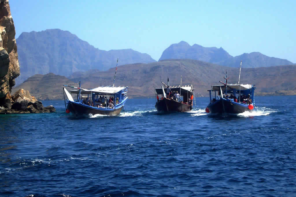 Musandam Swimming