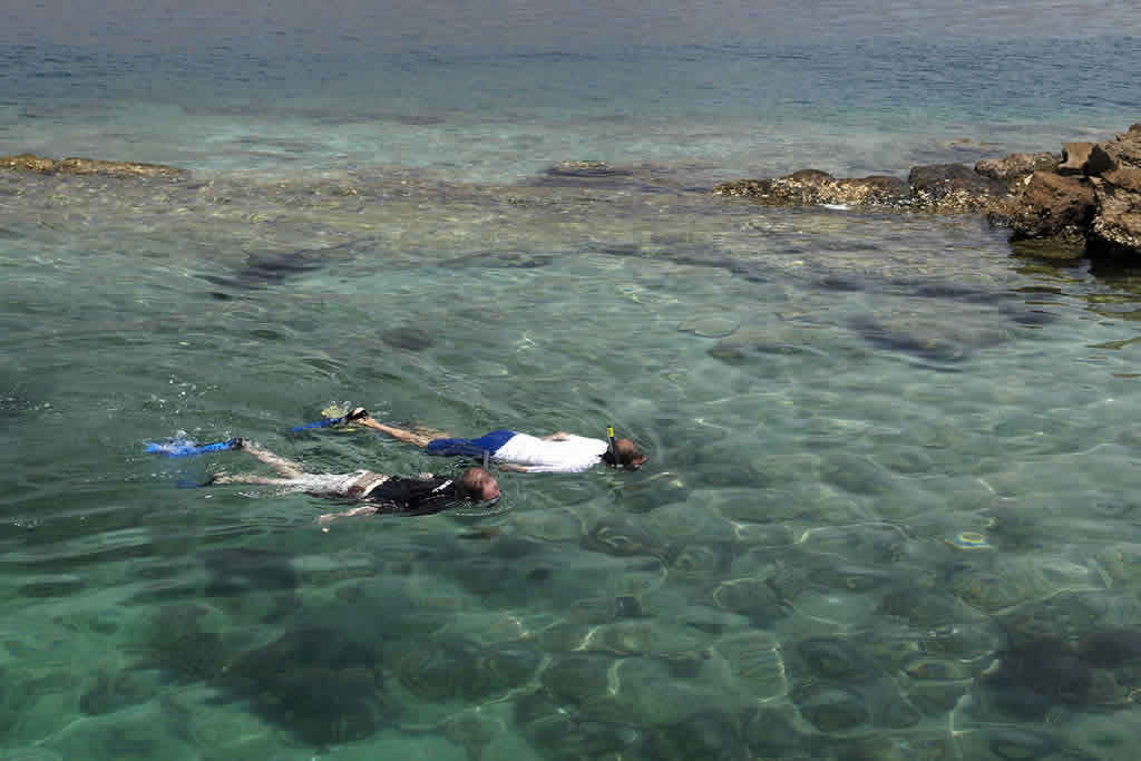 Snorkeling Trip In Musandam