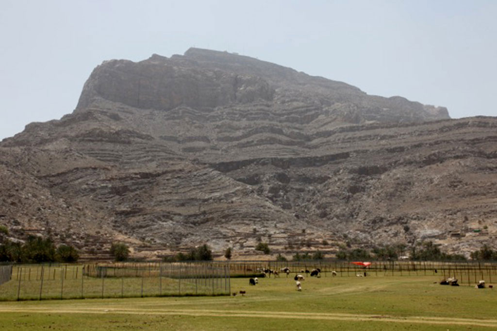 Musandam One Day Tours