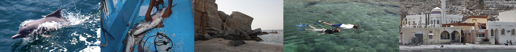 Musandam Fishing Dhow Cruise