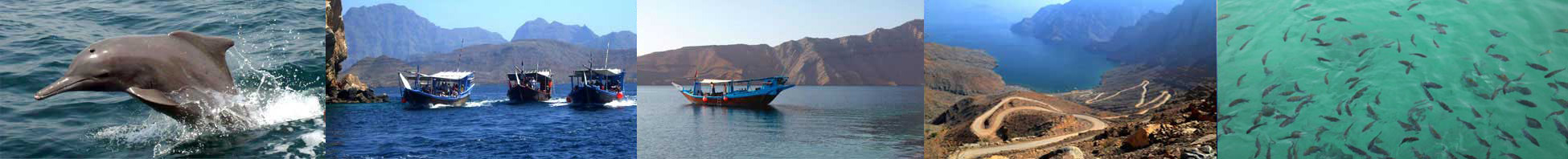 Musandam Kayakking